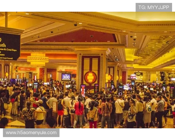 威尼斯人娱乐场官网官方平台，打造专业高效的线上博彩环境