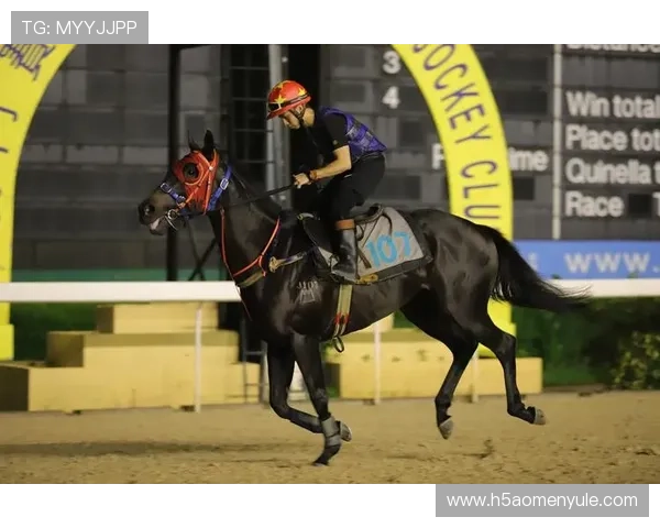 澳门赛马最新消息关于赛马场地升级和赛事直播的最新进展 澳门赛马最新消息关于赛马场地升级和赛事直播的最新进展