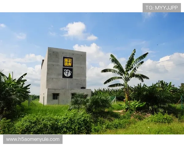 凯旋门官网直营：官方渠道购买保证正品与安全保障