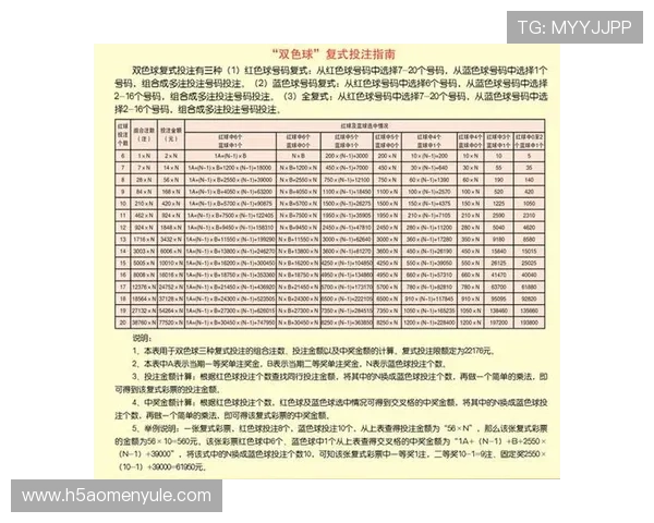 最新马会投注官方下载最新版本上线，支持多种投注方式全面升级
